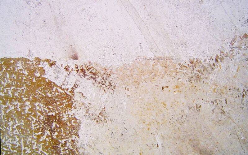 9-ocre-rosa-standard.jpg