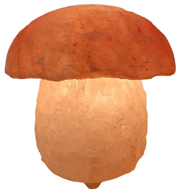 Himalaya zoutlamp paddenstoel