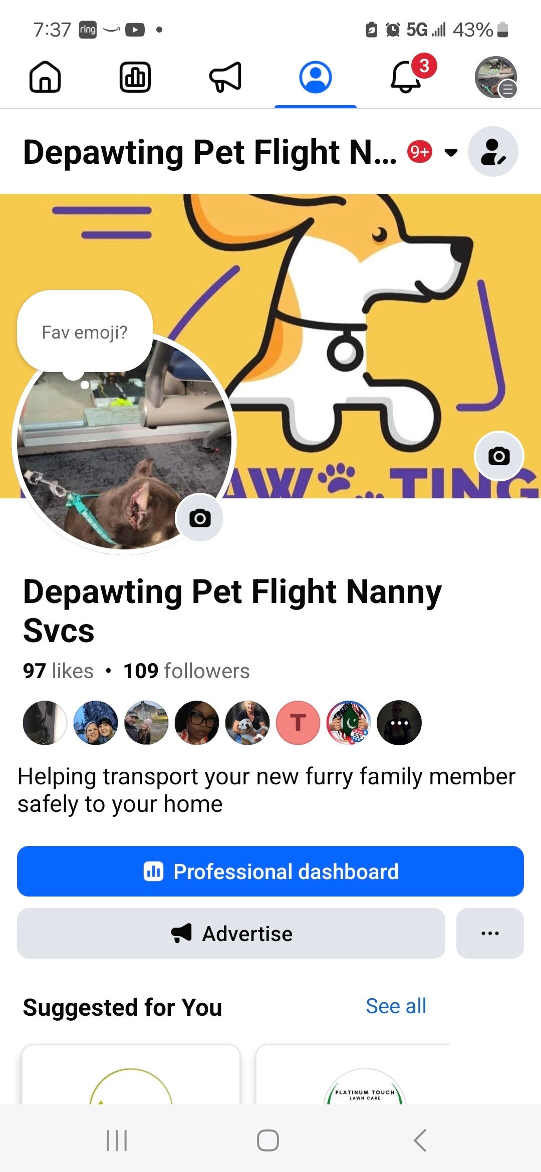 Crystal Bizzell Depawting Pet Flight Nanny Svcs Photo Inspiration