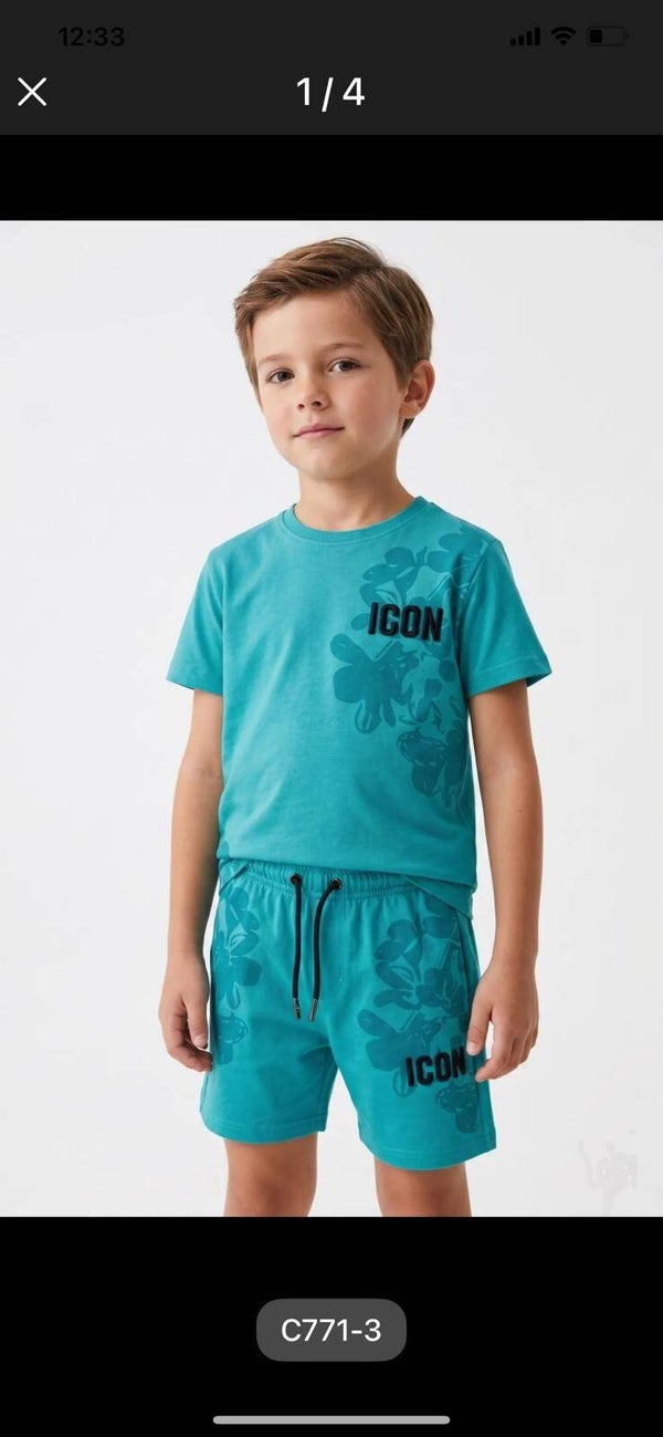 Icon beach oceaan