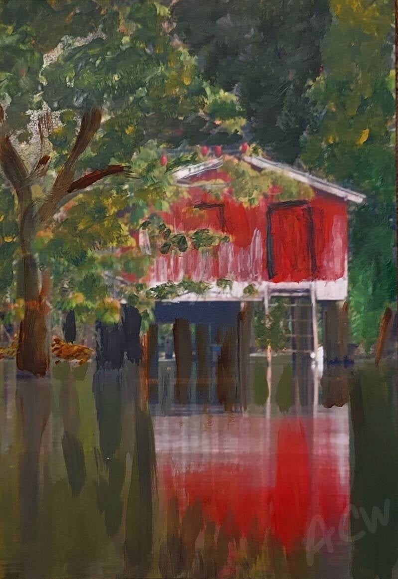 old red river house Amazon Rio Negro