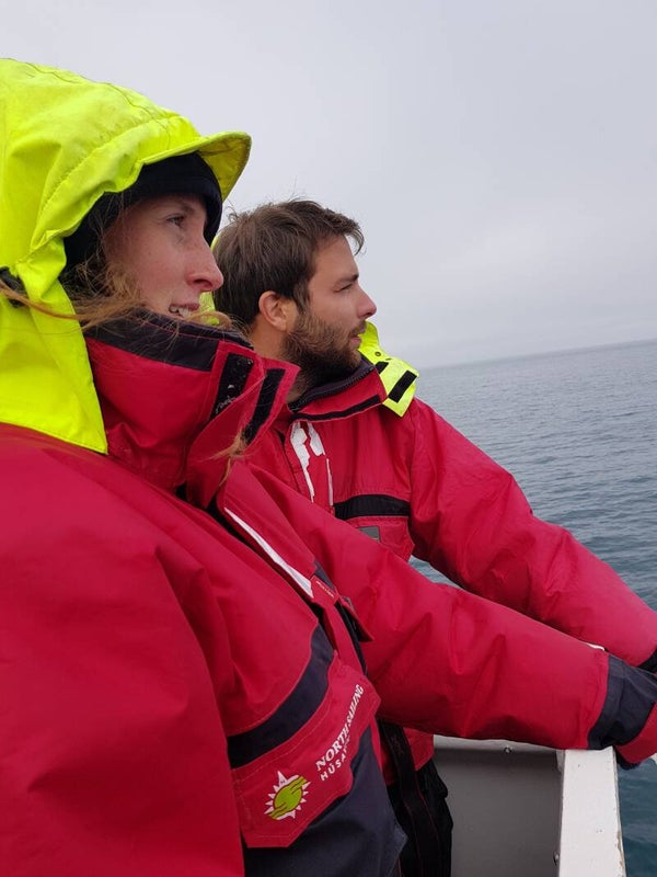 Walvissen en orka's spotten