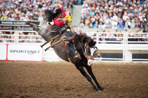 Tickets voor Calgary Stampede
