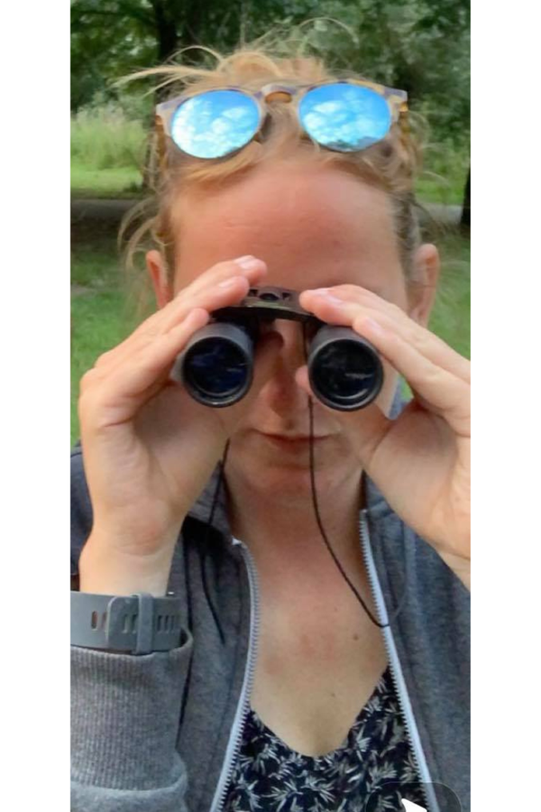 Beren spotten in de Canadese bossen