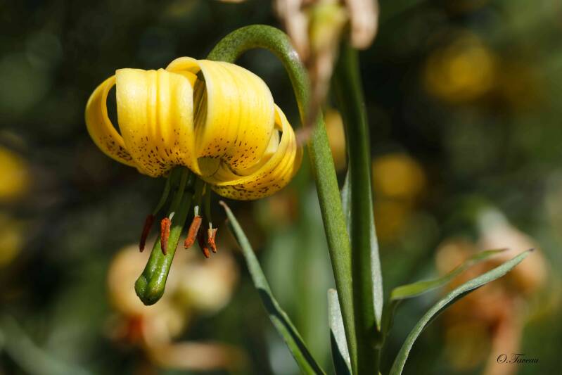 img_0900_dxo-standard.jpg
