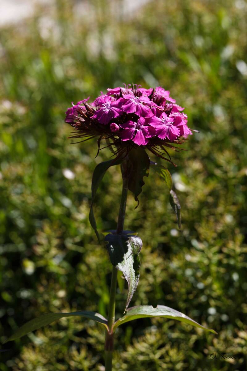 img_0935_dxo-standard.jpg