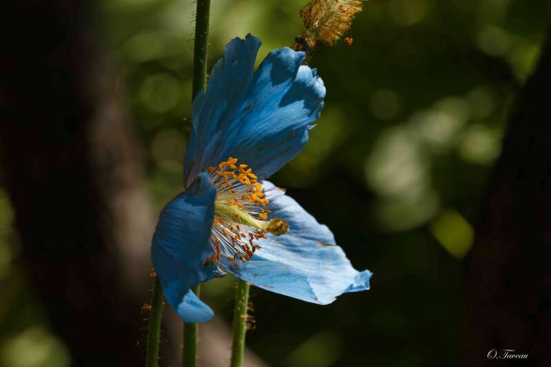 img_1053_dxo-standard.jpg