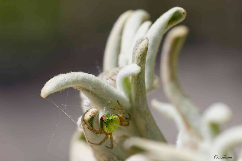 img_1126_dxo-standard.jpg