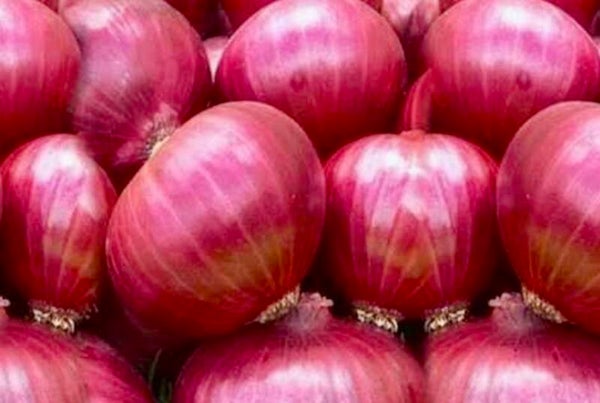 ONION