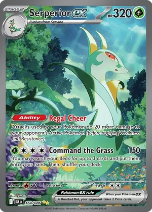 #8 Serperior ex 164/086 (Special Illustration Rare)#8 Serperior ex 164/086 (Special Illustration Rare) Peppi Collect