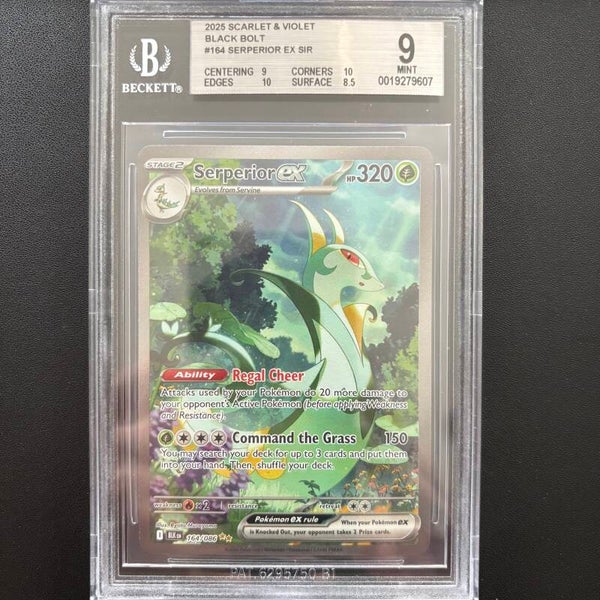 Serperior ex #164 Black Bolt Beckett 9.0
