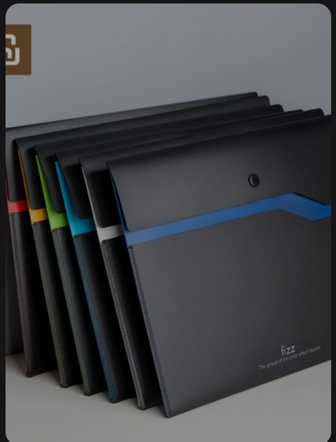 Xiaomi Youpin Fizz Filing Product A4 File Holder Organizer 2-layer