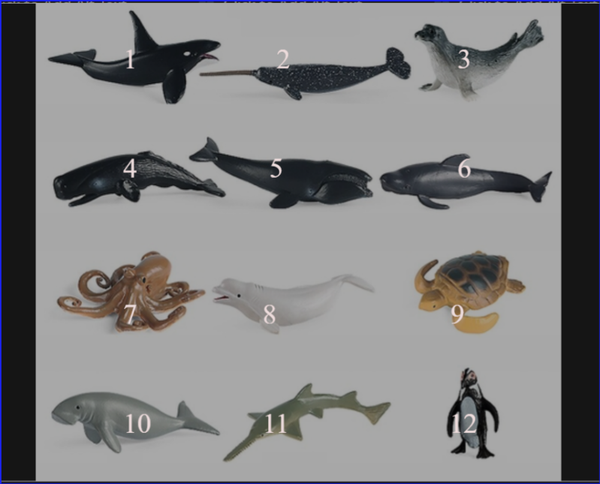 12 Pcs Realistic Sea Life Animals Model Figures Toys Dolphin Whale