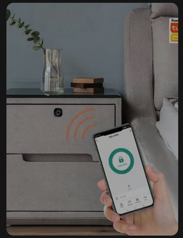 EGFirtor Smart Tuya Bluetooth Fingerprint Drawer Lock Shoe Cabinet