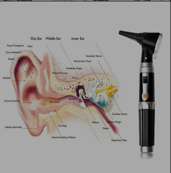Professional Ear Cleaner Endoscope Medical Otoscope Set LED Bulb