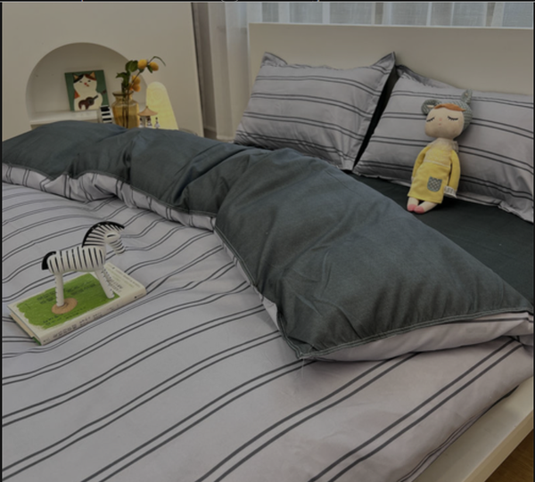 Queen Bed Sheet Set of 4