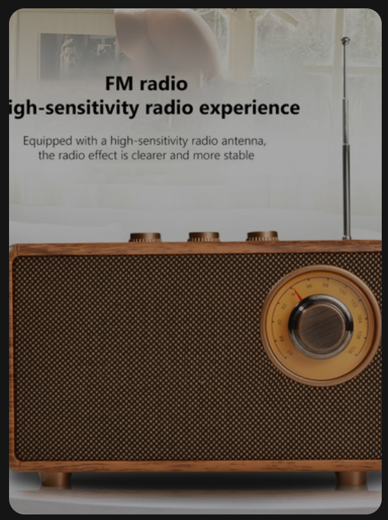 ACCHINGE Retro FM Radio Portable Radio Receiver Mini Bluetooth 5.1 Bass Speaker