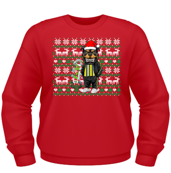 Foute Kerst Sweater Kids 0416 x Waalwijk