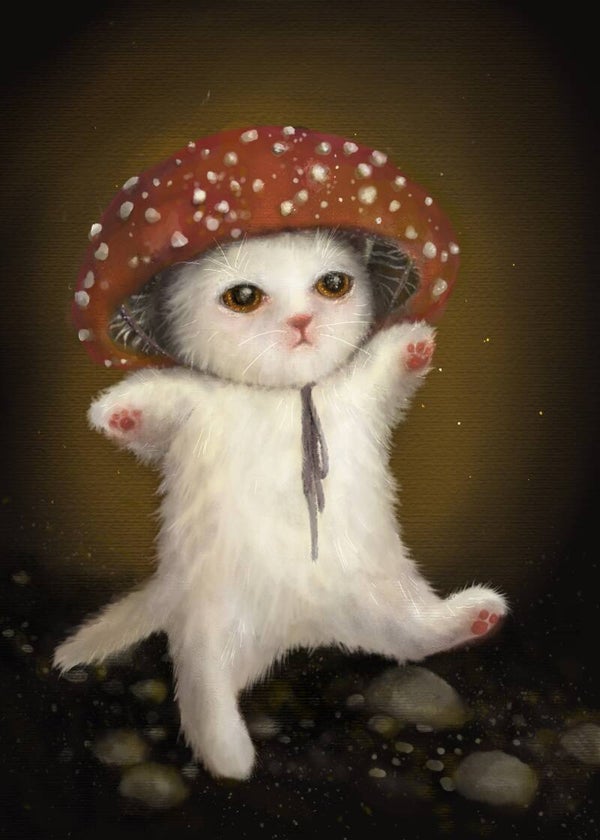 5 x 7 Print on Matte Card Paper