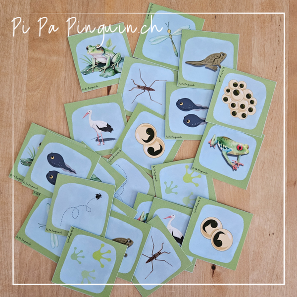 Frosch Memory: Download-Datei