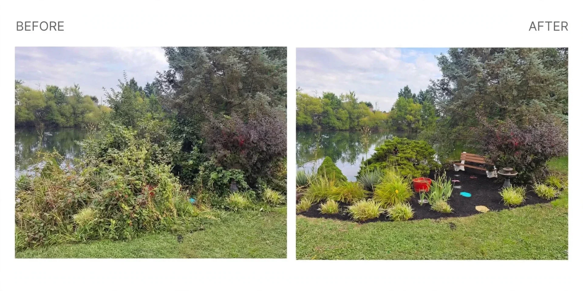 Before and after landscaping transformation by Nienaber And Sons Lawn Care L.L.C. in Greater Cincinnati showing an overgrown yard cleared, edged, and mulched with fresh landscaping.