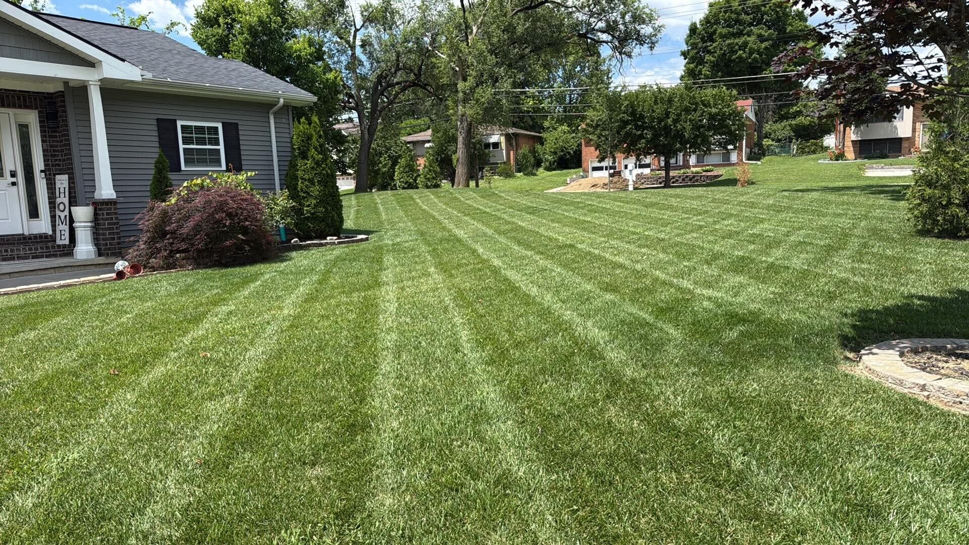 Striped lawn by Nienaber And Sons Lawn Care in Cincinnati Ohio 