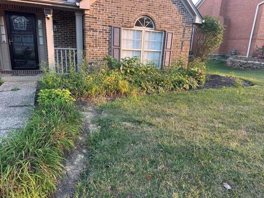 Cincinnati Ohio landscape beds before cleanup, with overgrown plants and weeds