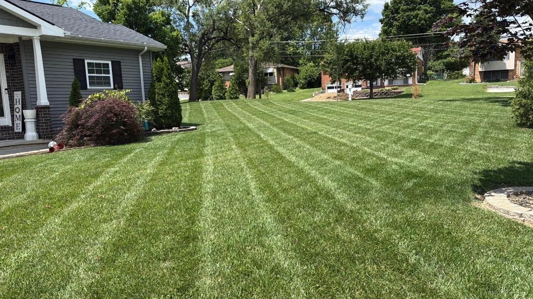 Crisp, dark green lawn mowing stripes on a residential property in Mason, OH