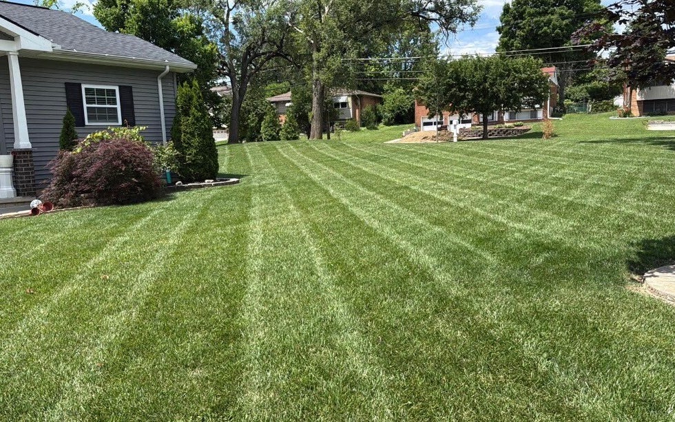Cincinnati lawn care and lawn mowing services by Nienaber And Sons Lawn Care L.L.C.