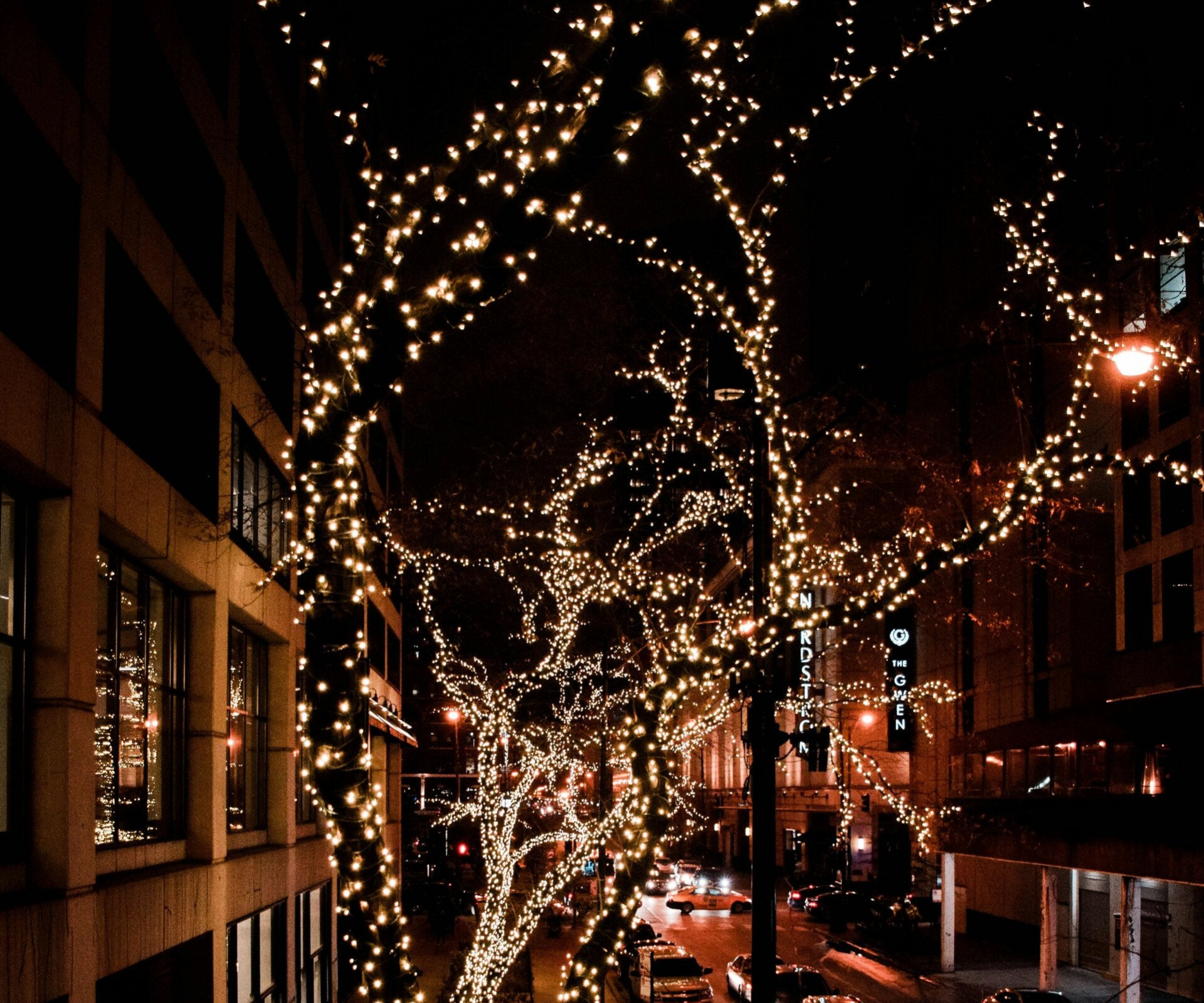 Christmas lights illuminating trees and landscaping at a Cincinnati home