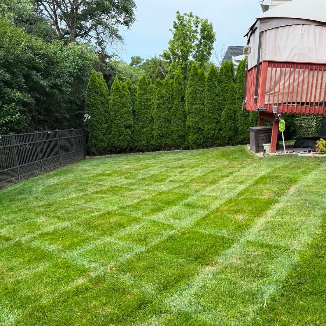 Professional and reliable lawn care by Nienaber And Sons Lawn Care in Cincinnati Ohio 