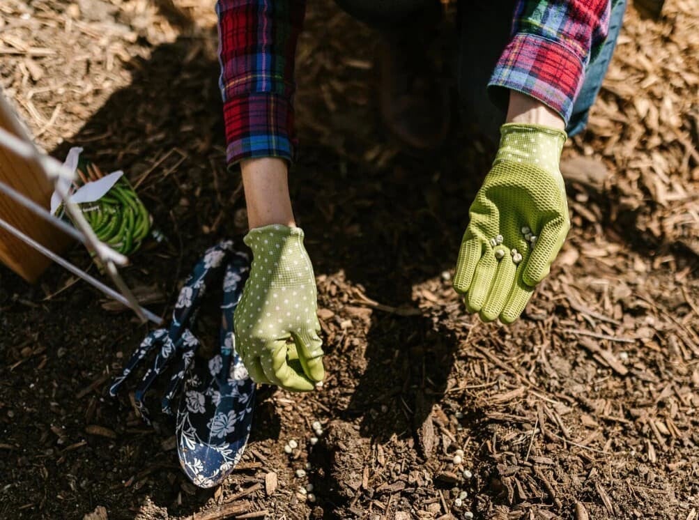 Landscaping by Nienaber And Sons Lawn Care in Cincinnati Ohio