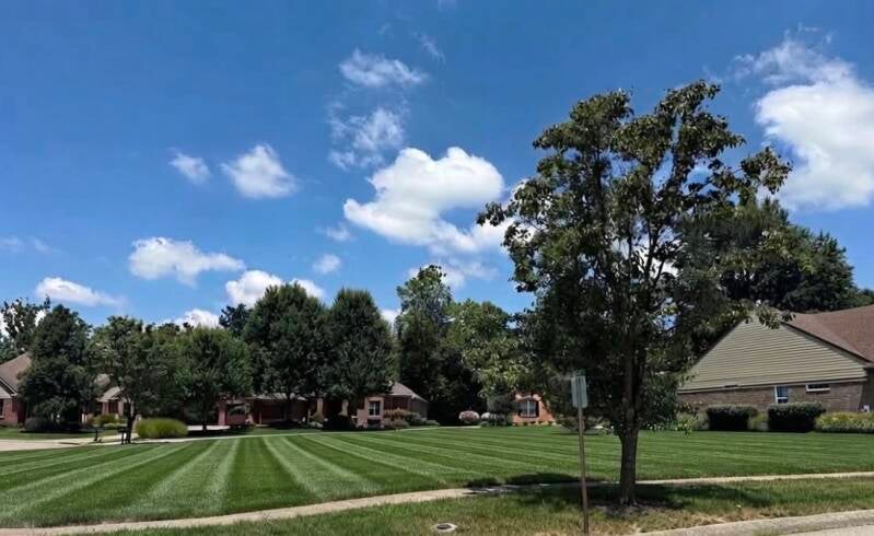 Nienaber And Sons Lawn Care providing lawn care and property maintenance in Cincinnati, Ohio