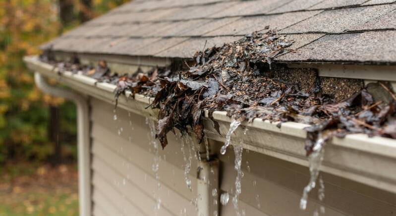 Close-up of a residential rain gutter completely choked with wet, compacted autumn leaves and debris, causing water to overflow down the house siding during a light drizzle.
