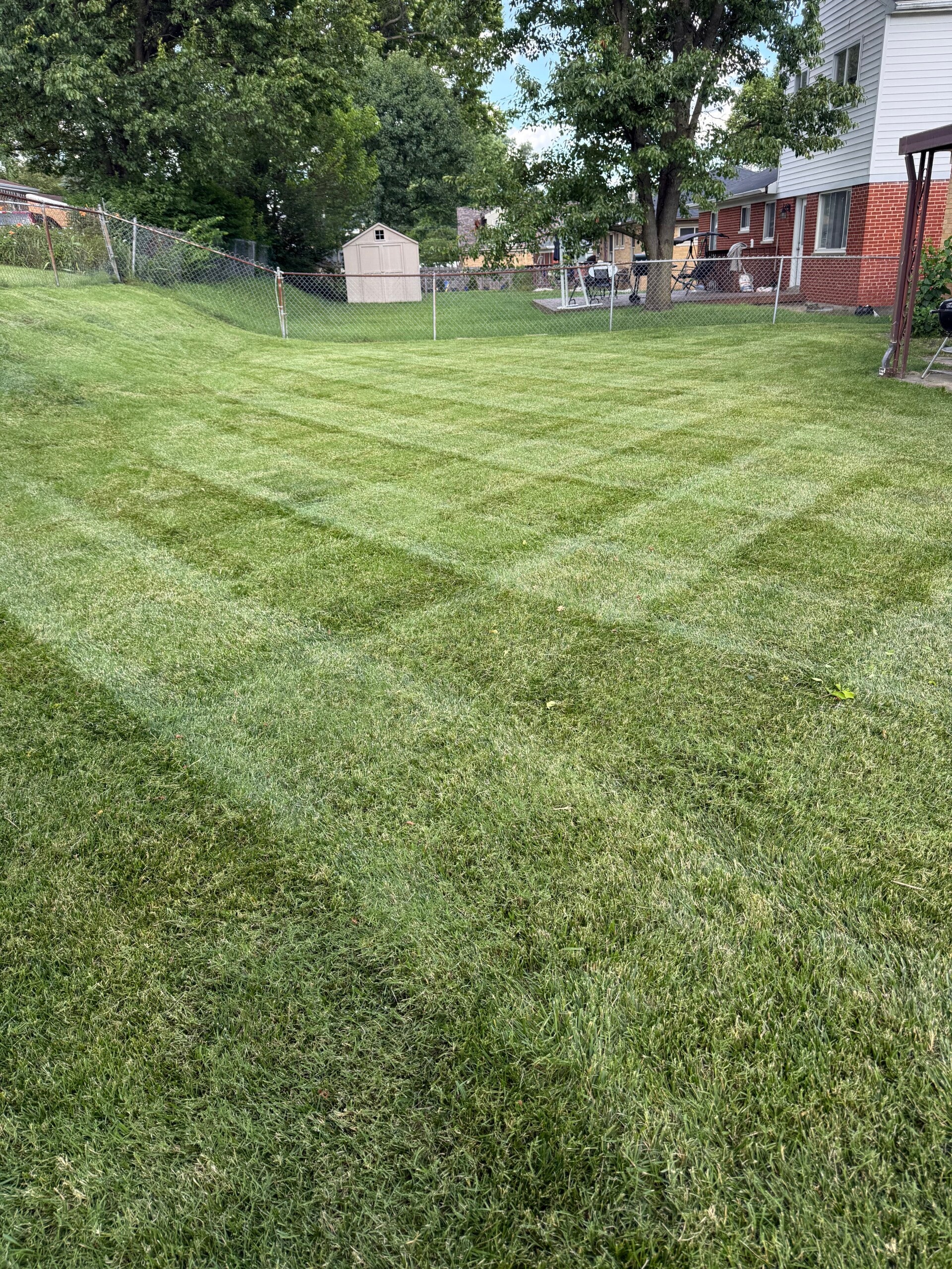 Freshly mowed residential lawn with crisp striping lines by Nienaber And Sons Lawn Care in Cincinnati.