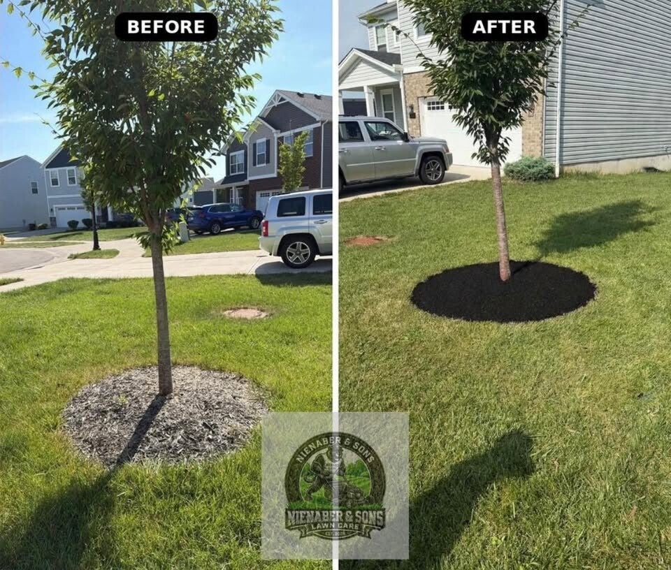 Landscaped residential yard in Mason, Ohio