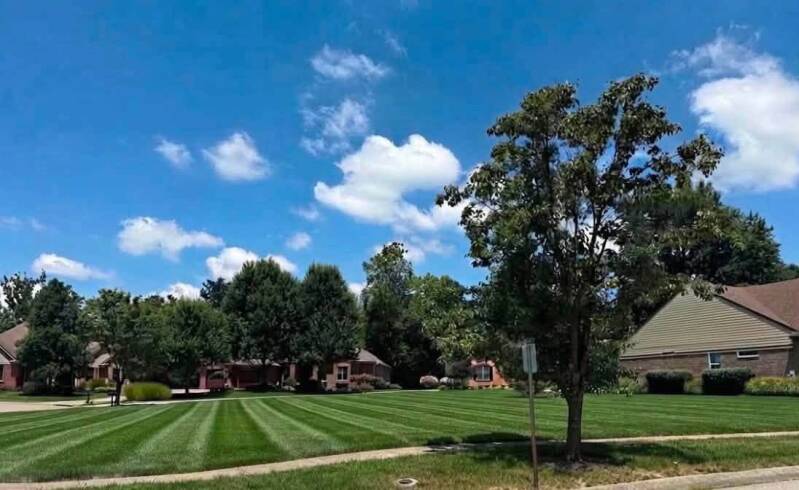 Professional commercial lawn mowing service in Greater Cincinnati by Nienaber And Sons Lawn Care