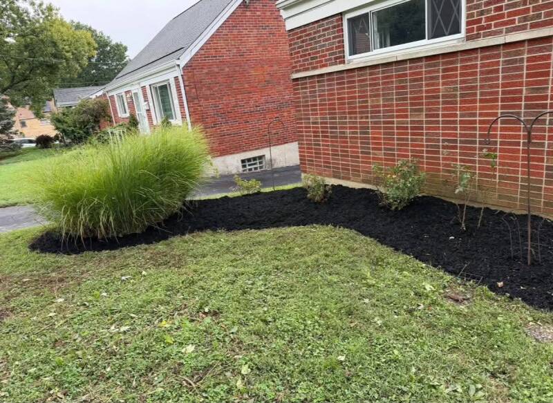 After landscaping transformation in Cincinnati, OH featuring clean edges, trimmed plants, and fresh dark mulch.