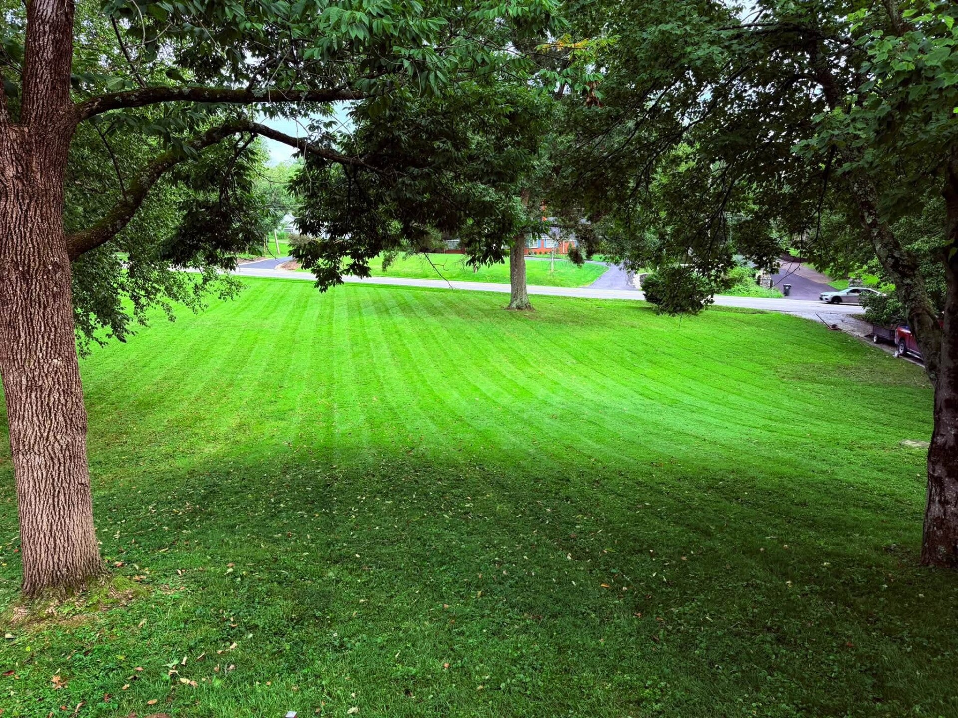 Bold parallel grass stripes cut across a clean suburban front yard in Bridgetown, OH