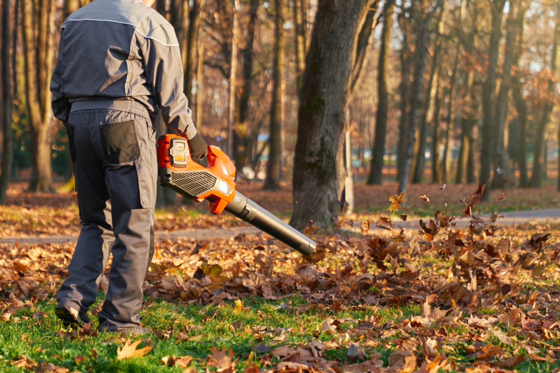 Professional fall leaf cleanup and yard raking services in Cincinnati Ohio 