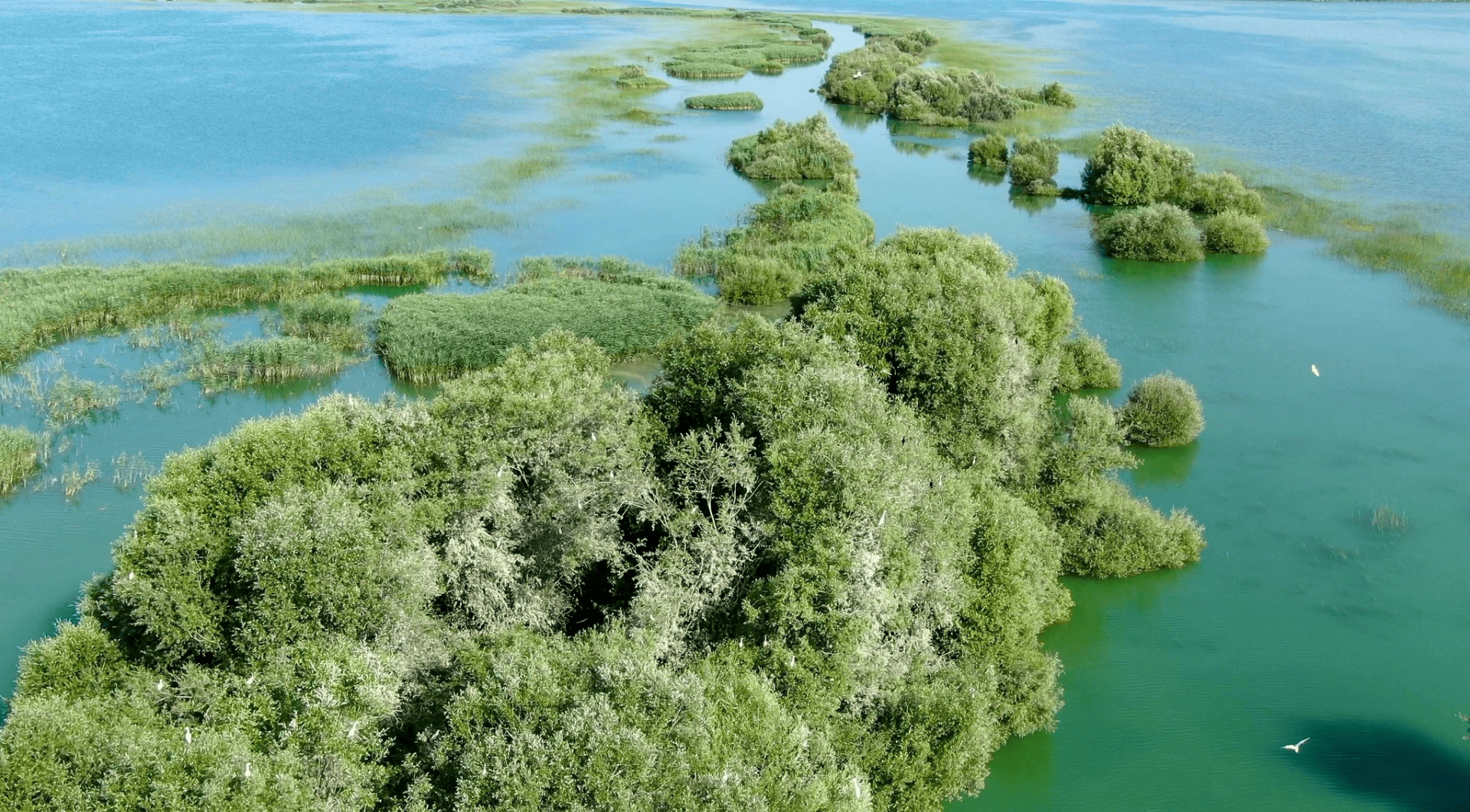 View from the Karavatsa lagoon