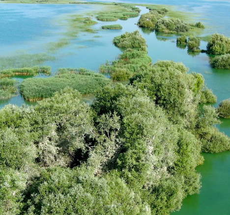 View from the Karavatsa lagoon