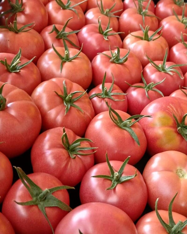 Tomaten Berner Rose ca. 1kg