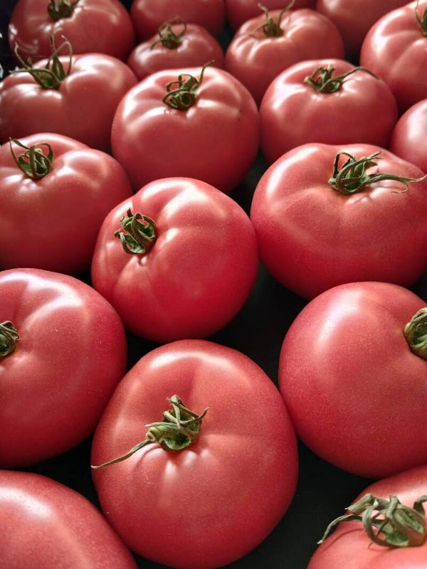 Bio Tomaten Berner Rose ca. 1kg (Aus eigenem Anbau)