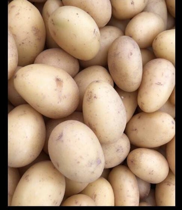 Bio Kartoffeln 1kg festkochend (Aus eigenem Anbau)