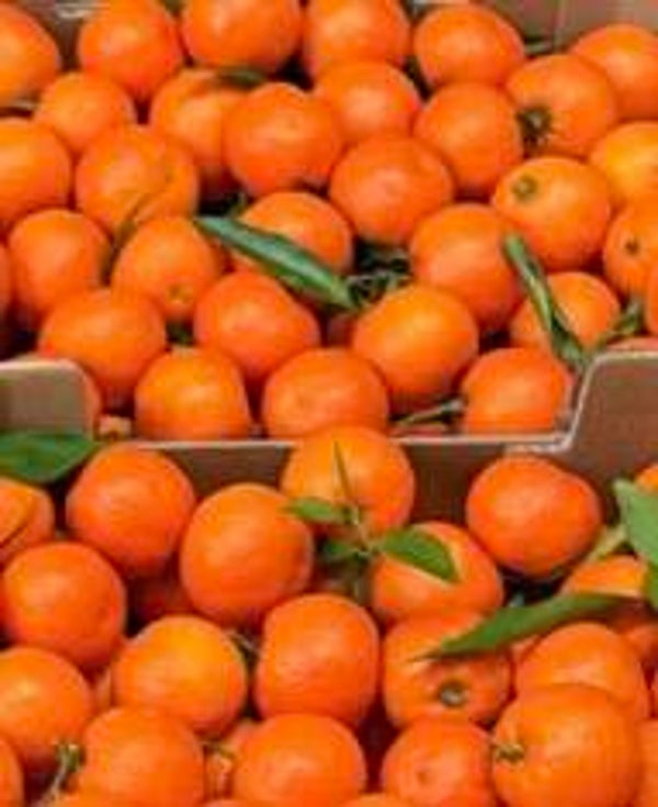 Bio Clementinen ca. 600g (IT)