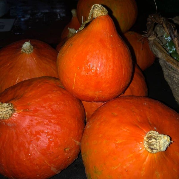 Bio Kürbis Hokkaido ca. 800g (Aus eigenem Anbau)