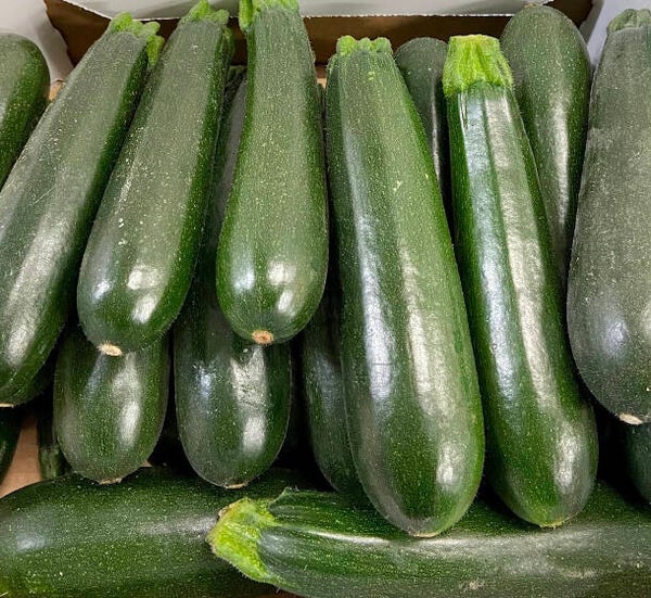 Zucchetti ca. 800g