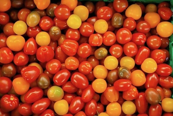 Bio Tomaten Cherry-Mix ca. 300g (Aus eigenem Anbau)