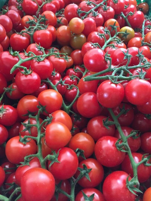 Bio Tomaten Cherry-Rispen ca. 300g (Aus eigenem Anbau)